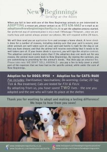 Animals for Adoption – New Beginnings