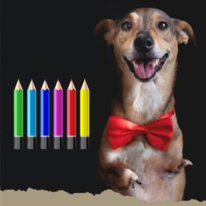 Pencil Kit